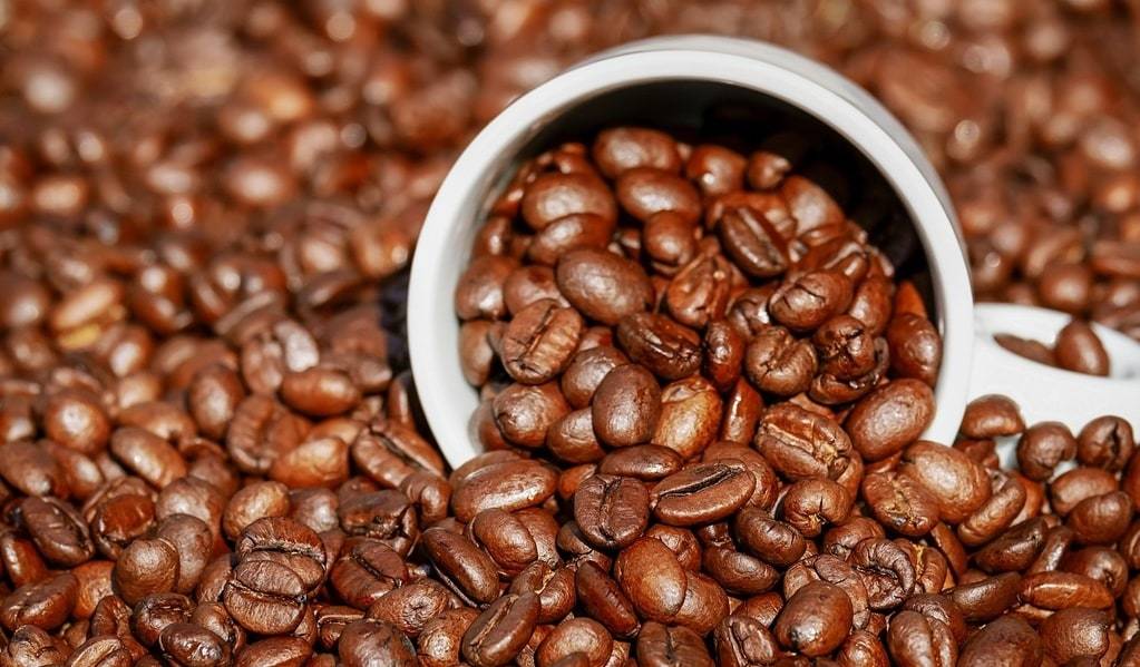 Intégrer le café vert dans une routine quotidienne équilibrée